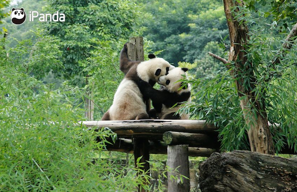 从全景图到直播,从虚拟到街景,原来实景旅行可