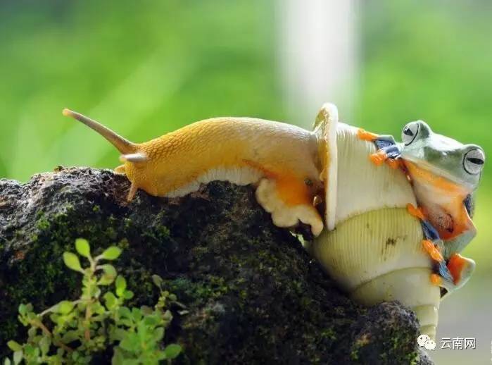 早fun|云南一男子携带宝剑见女友 约会不成反