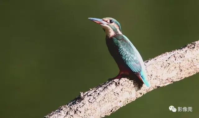 9A8G-fykuffc4242234.jpg