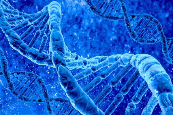 自然选择一直在努力地帮助我们延长寿命