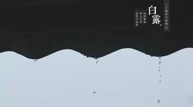 露从今夜白,月是故乡明|鸿雁|故乡|节气