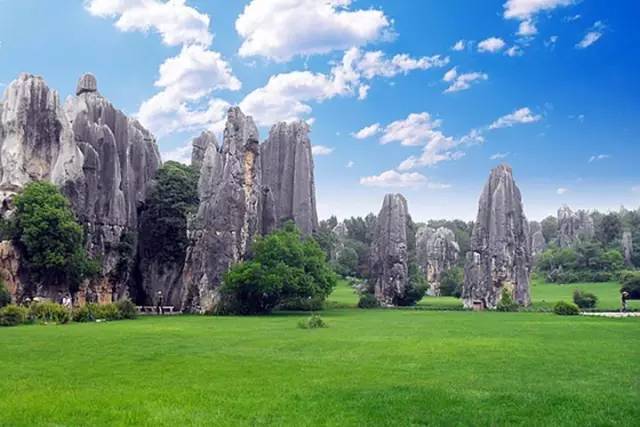 渝昆高铁年内开建!昆明到重庆只需2.5小时!|高