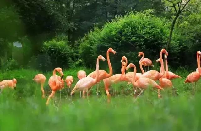 免费游、免费玩…山东最全的教师节景点优惠信