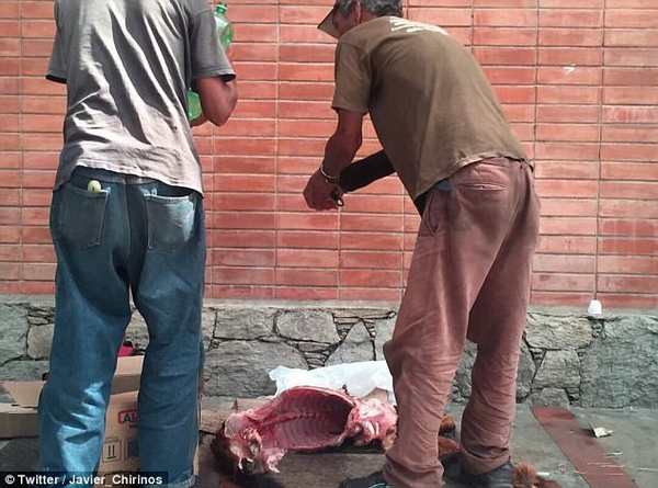 委内瑞拉粮食短缺 民众当街猎杀狗充饥|委内瑞