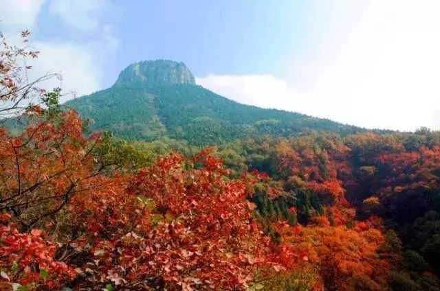 免费游、免费玩…山东最全的教师节景点优惠信