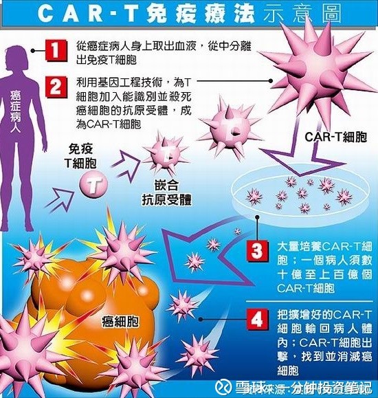 金斯瑞PE已高达70倍 未来几年仍是CAR-T技术