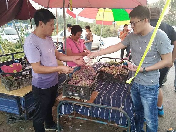 雄安新区临时占地先行补偿标准公布:种玉米农