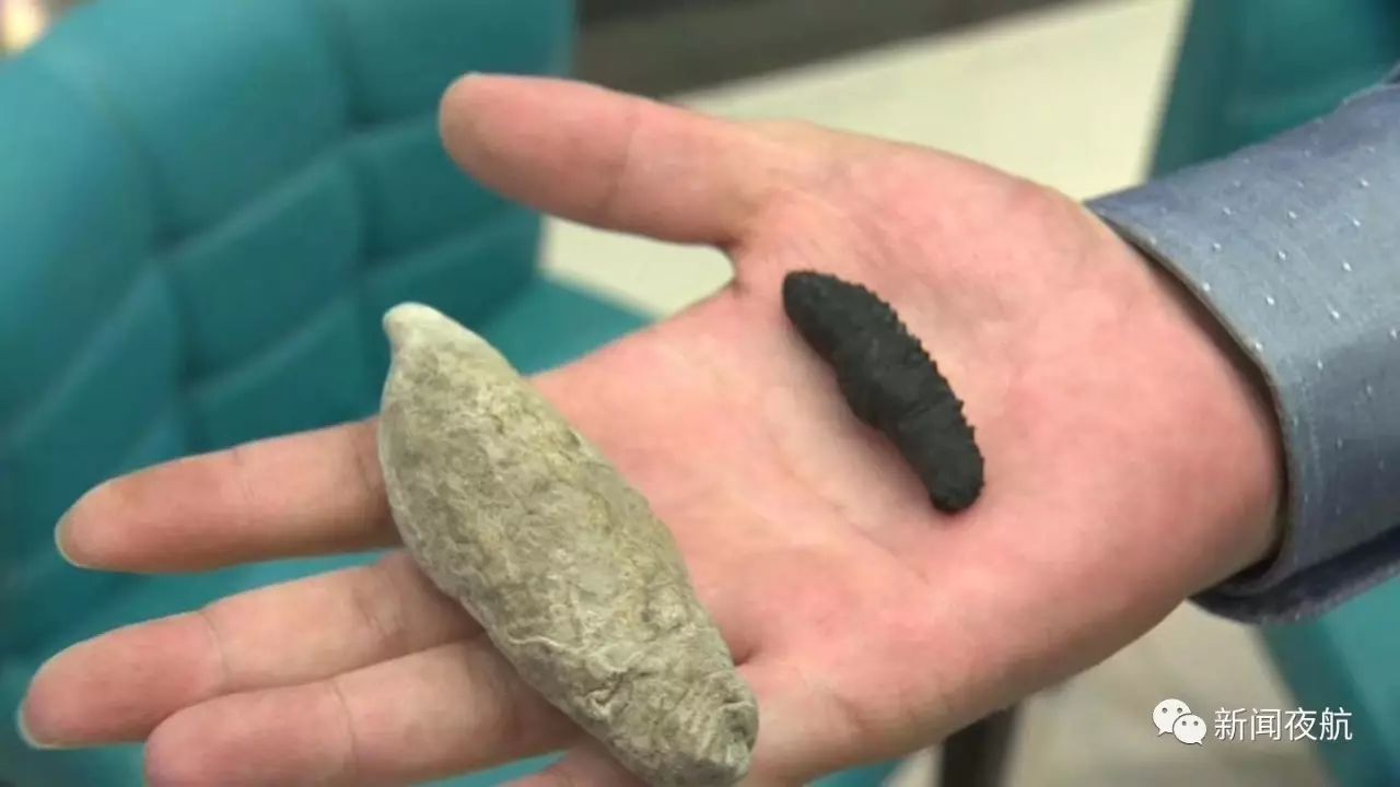 想吃它吗?明天上午10点,夜航甄选海参美食节开