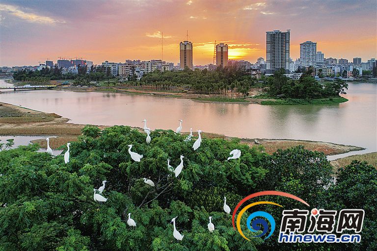 30年间,那些见证着海南变迁的人们,说出你的故