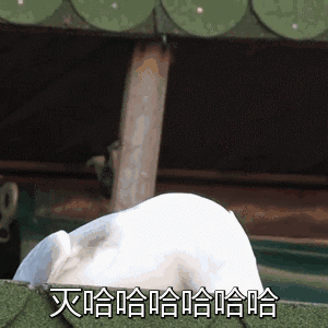 点击放大