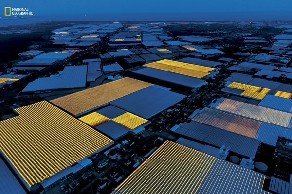 荷兰成世界第二大食品出口国背后:依靠高科技