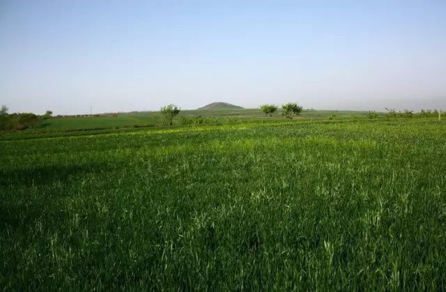 厉害了!西安2020年将迎来四环时代,最新进展