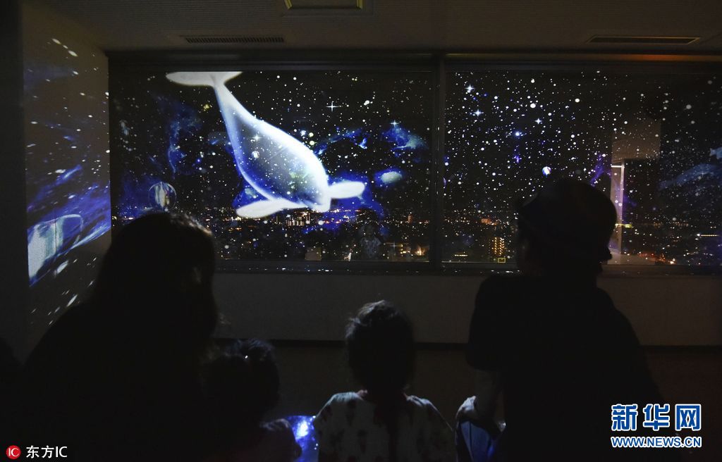 没有水的水族馆!日本佐贺投影海洋动物吸引