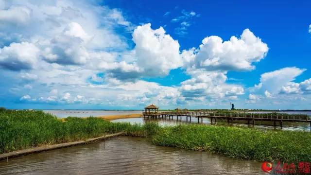 代表哈尔滨的70个符号,哈尔滨人都未必知道!|建