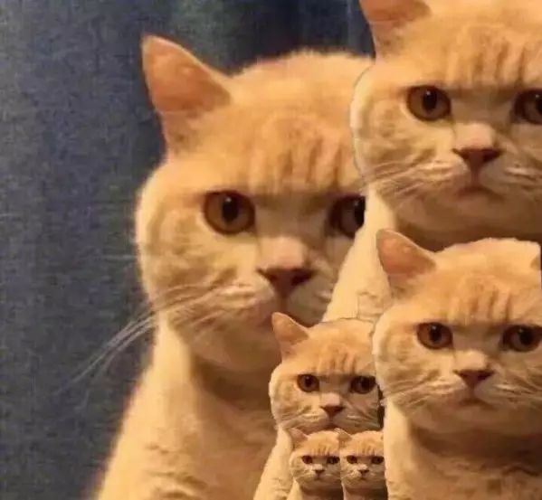 当了那么多年汉族人,你知道汉服是个啥吗?|云南