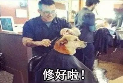 恐怖!女子7小时染发4次!头皮变绿、烧伤,被剃光