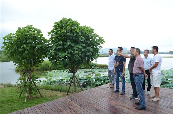 梁平:双桂湖国家湿地公园建设工程完成总工程