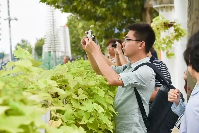 9月10日，中央新闻媒体采访团赴雄安新区集中采访。  赵杰摄