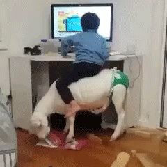 确定过眼神，他是要怼我的人