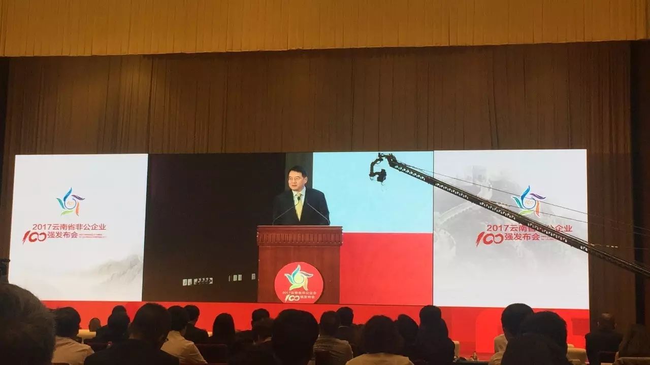 2017非公经济百强企业公布!第一名企业营业收