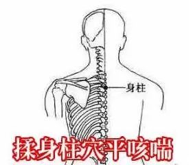 惊险!男子持刀砍向老板娘 就餐民警一跃而起|感