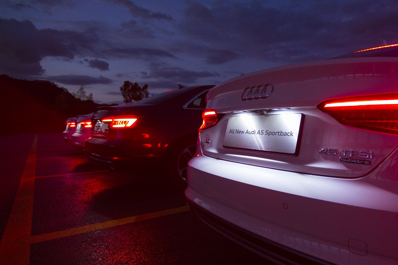 来这青山绿水茶飘香的地方,厦门人不仅免门票