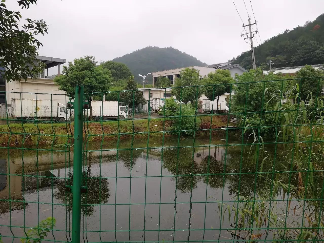 6人因大银山病死猪掩埋事件被刑拘,湖州市:一