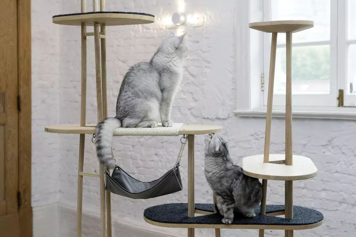 人民币贬值助业绩成过去天元宠物出口退税额超净利润_财经头条