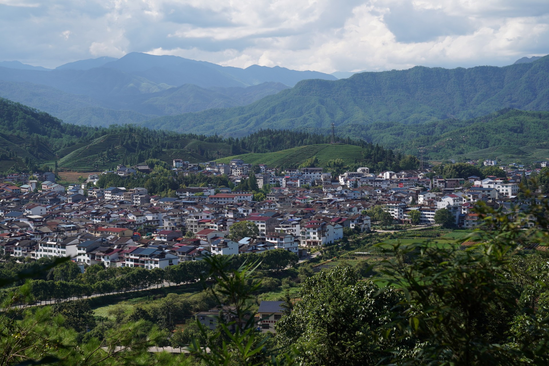 来这青山绿水茶飘香的地方,厦门人不仅免门票