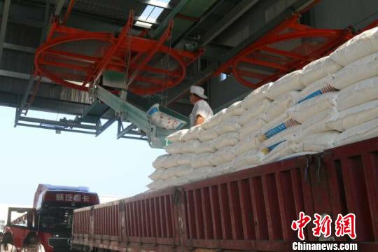 河南永城大做 面 文章 打造中原 大厨房 |永城|面