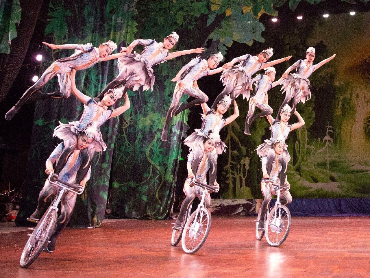 惊喜!吴桥国际杂技节月底在石家庄开幕!保护好