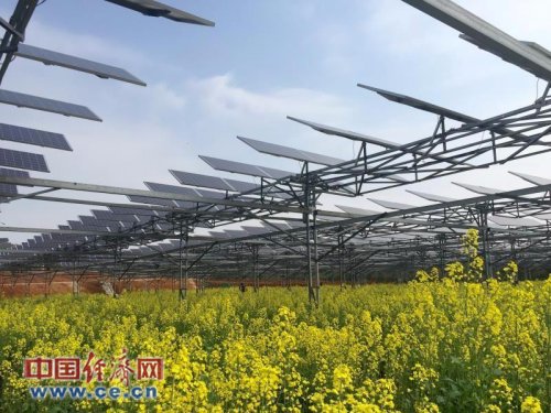 江西:绿色税收至,生态红利来|税收|能源|方大特