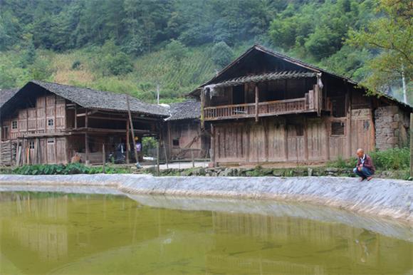 为致富 石柱中益乡村民返乡创业养鱼鳅|鱼鳅|鳅