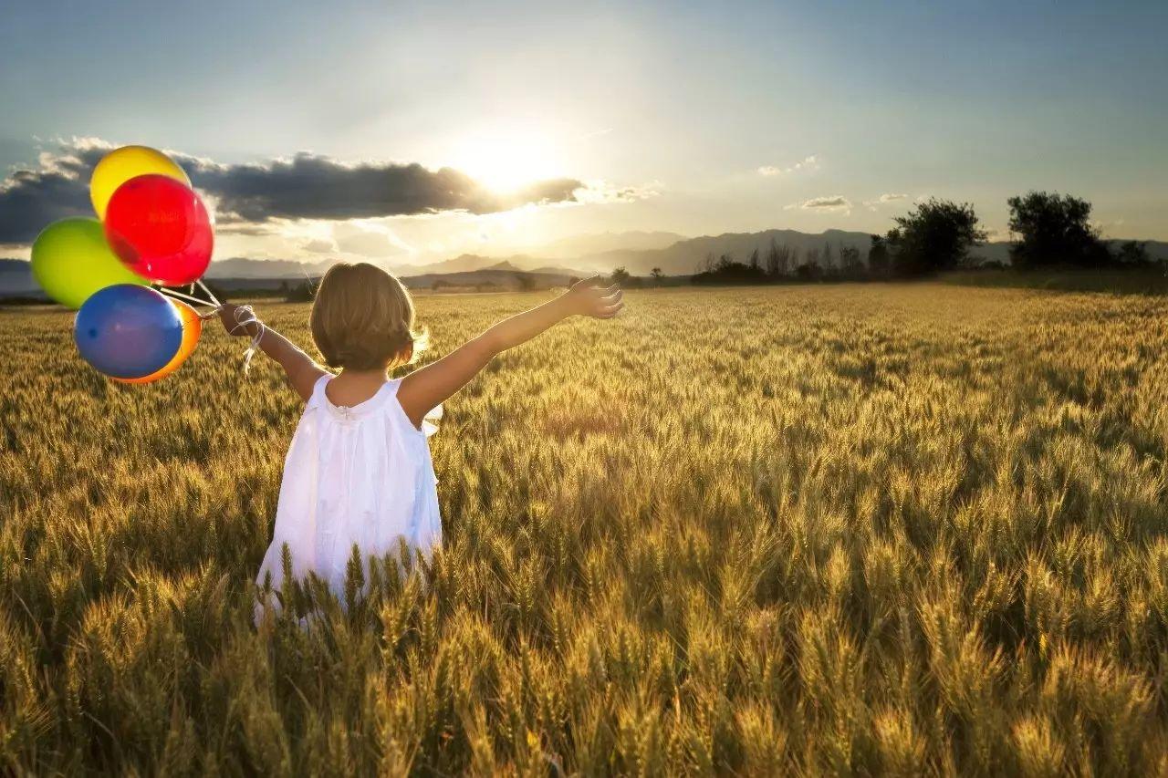 【夜读】梦想，有时只需一丝温和的坚持|理想主义|灵魂|人生_新浪新闻