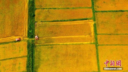 发展乙醇汽油如何确保粮食安全?能源局给了权