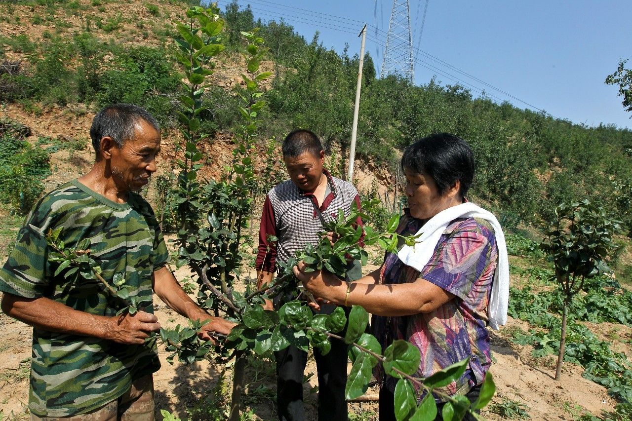 匠人般的坚守,石家庄这对夫妻用16年,只做了一