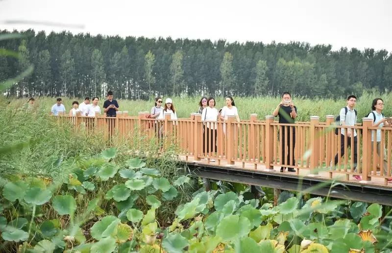 污染零容忍!雄安新区公布环境污染举报电话|环