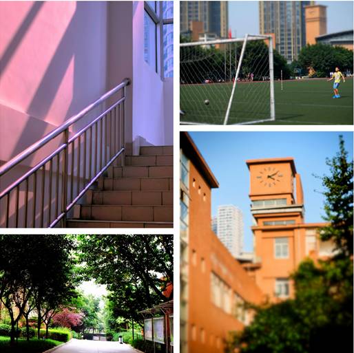 被国家点名表扬!有没有你的母校?|重庆|足球|万