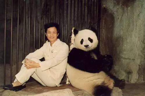 盼盼原型传奇大熊猫巴斯去世,享年37周岁…