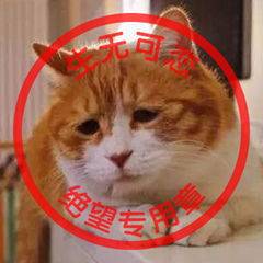 太坑了!她偶遇老同学,交换手机号后就没再联系