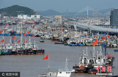 9月13日，浙江舟山，渔船陆续回到沈家门水产码头卸货，再开往就近的沈家门渔港停泊避风。图片来源：视觉中国