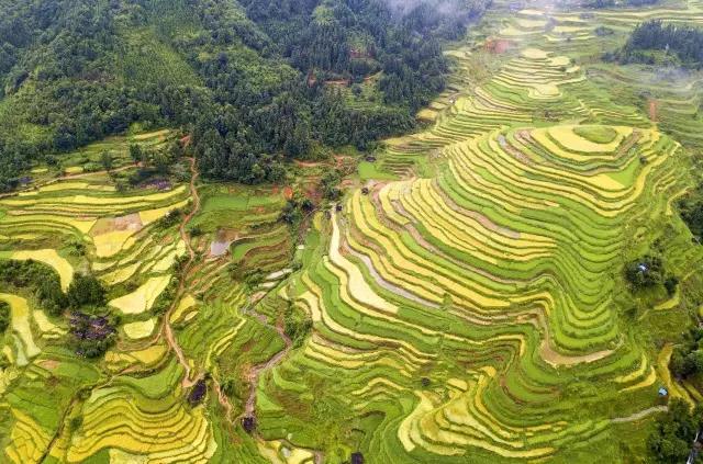 【夜读】来!一起收获这份喜悦!|秋收|辣椒|季节