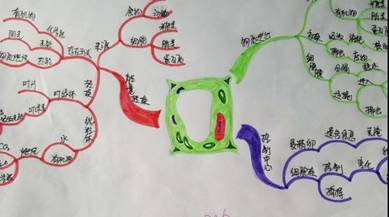 这位太原中学生,从中等成绩到班级第一,全靠这