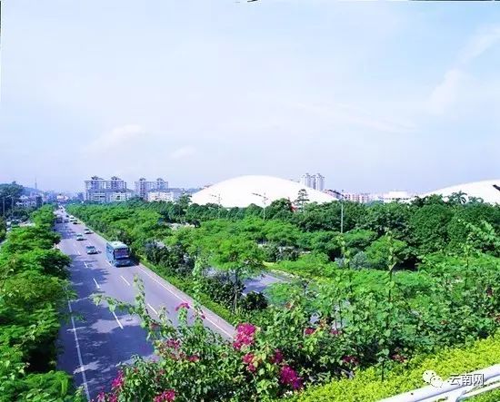 快来为你的家乡加油!云南五城上榜第五届全国