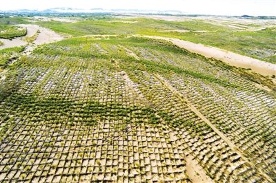 科尔沁沙地：绿色铺就最美底色|防沙|沙地|科尔沁_新浪新闻