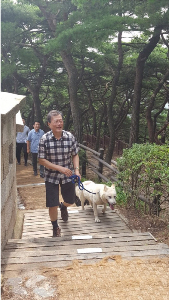 文在寅不打高尔夫,让韩国干着急