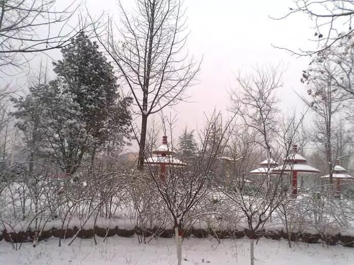 11月1日起,这些车禁止驶入石家庄廊坊保定主城