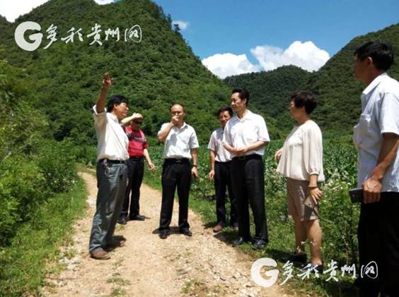 如何变成金山村?贵州这个驻村组长告诉你!