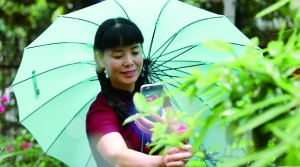 让生活的诗意网住别墅的每个角落|王平|组网|别