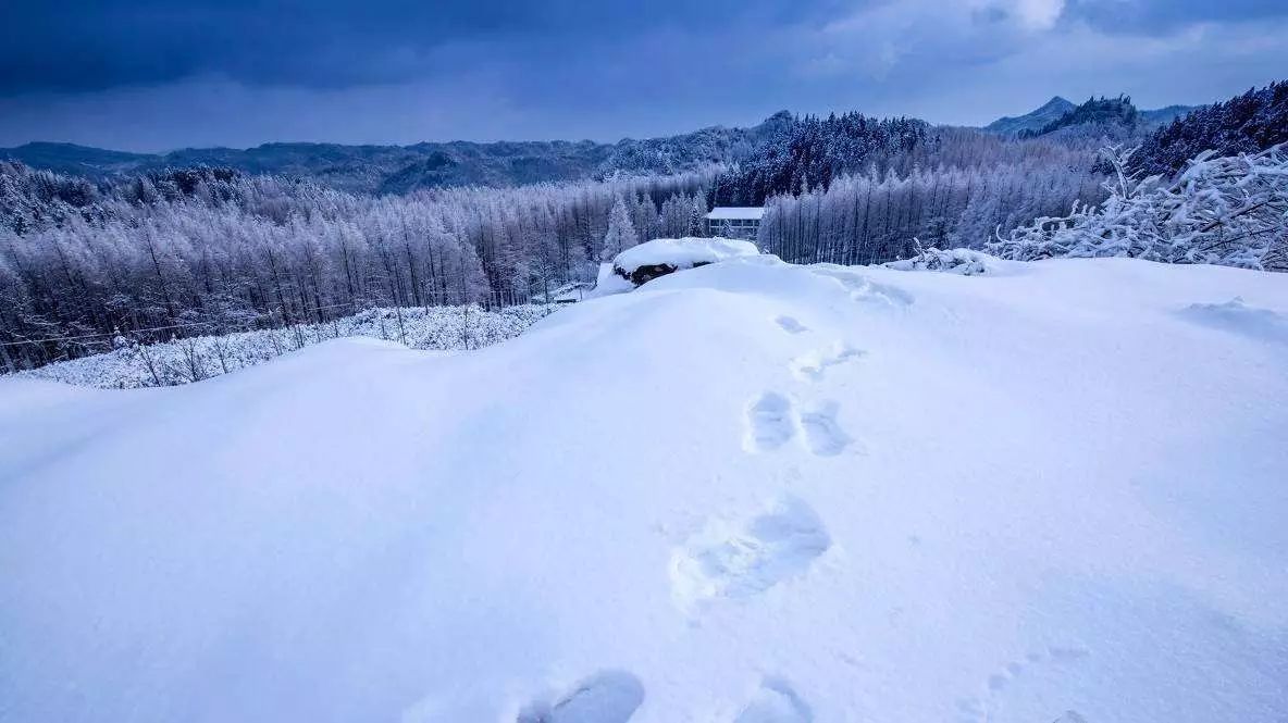 6000亩红枫惊现重庆!9月许你一场秋天的童话